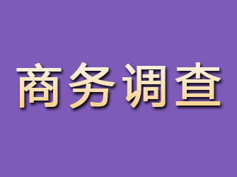 新民商务调查