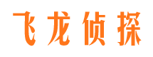 新民市侦探公司